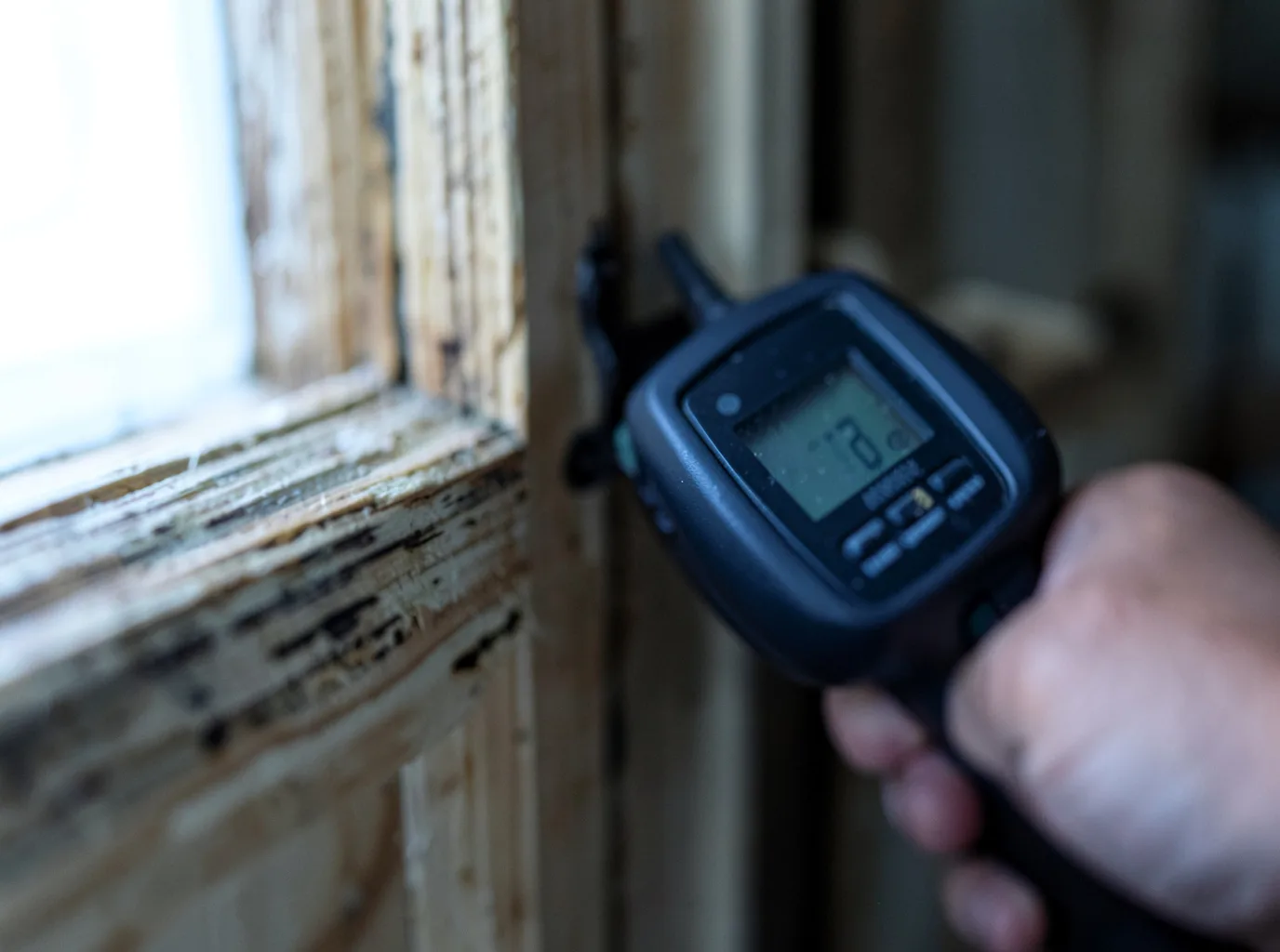 Water Damage Restoration Beaverton, AL FAQs